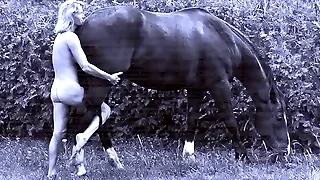 Sex Videos 82
