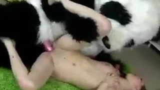 XXX HD Movies 42